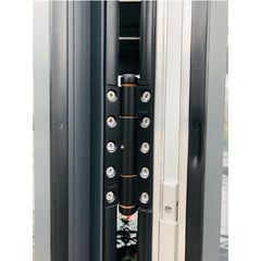 Aluminum decorative double glass bifold door grilles design on China WDMA