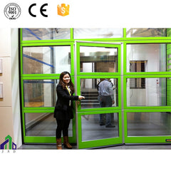 Electric glass garage doors with pedestrian door on China WDMA